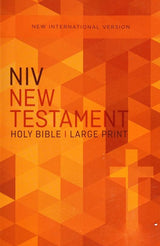NIV, Outreach New Testament, Large Print, Paperback