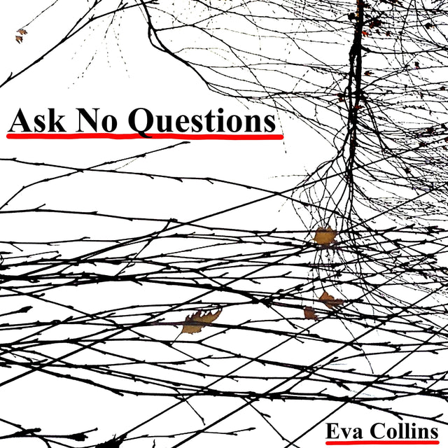 Ask No Questions