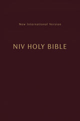 NIV, Holy Bible, Compact, Paperback, Burgundy, Comfort Print