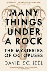 Many Things Under a Rock
