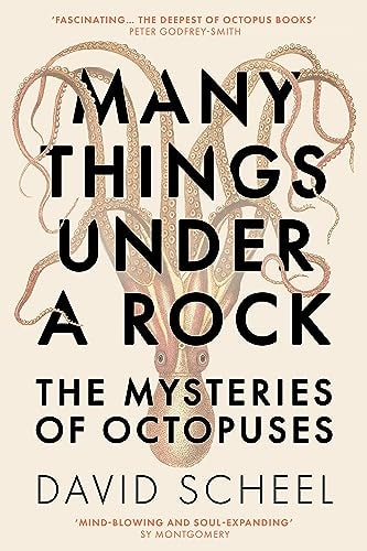 Many Things Under a Rock