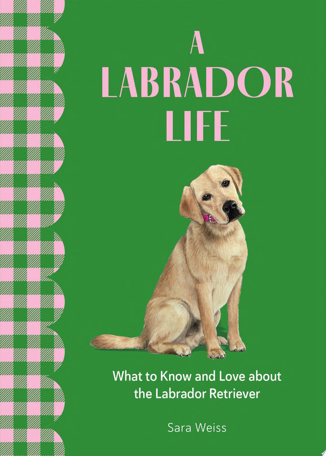 A Labrador Life