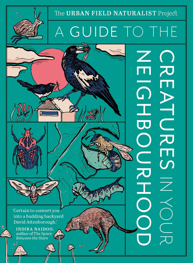 A Guide to the Creatures in Your Neighbourhood