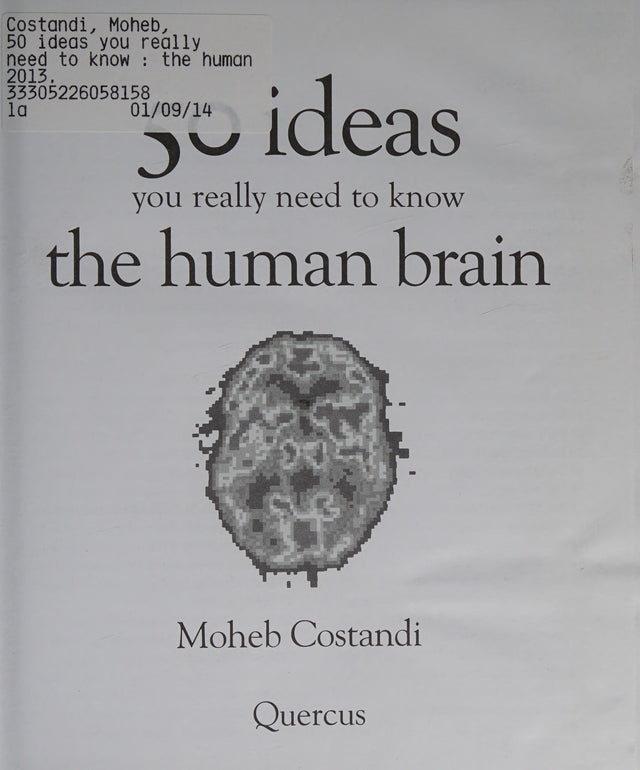 50 Human Brain Ideas You Really Need to Know