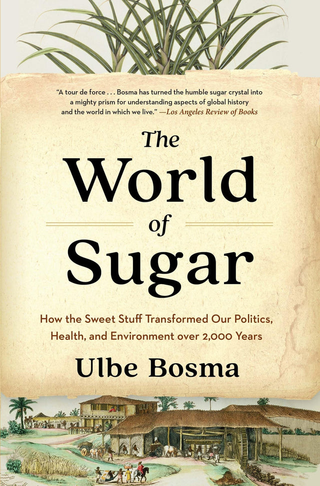 The World of Sugar