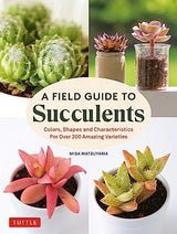 A Field Guide to Succulents