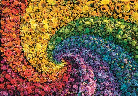 Clementoni Whirl Jigsaw Puzzle - 1000 Piece - Colorboom Collection - (39594)