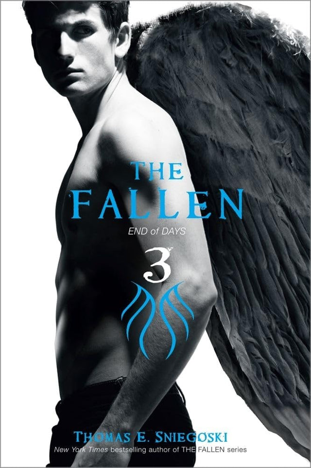 Fallen #3: End of Days