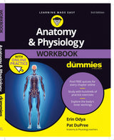 Anatomy & Physiology Workbook For Dummies with Online Practice