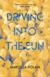 Driving into the Sun