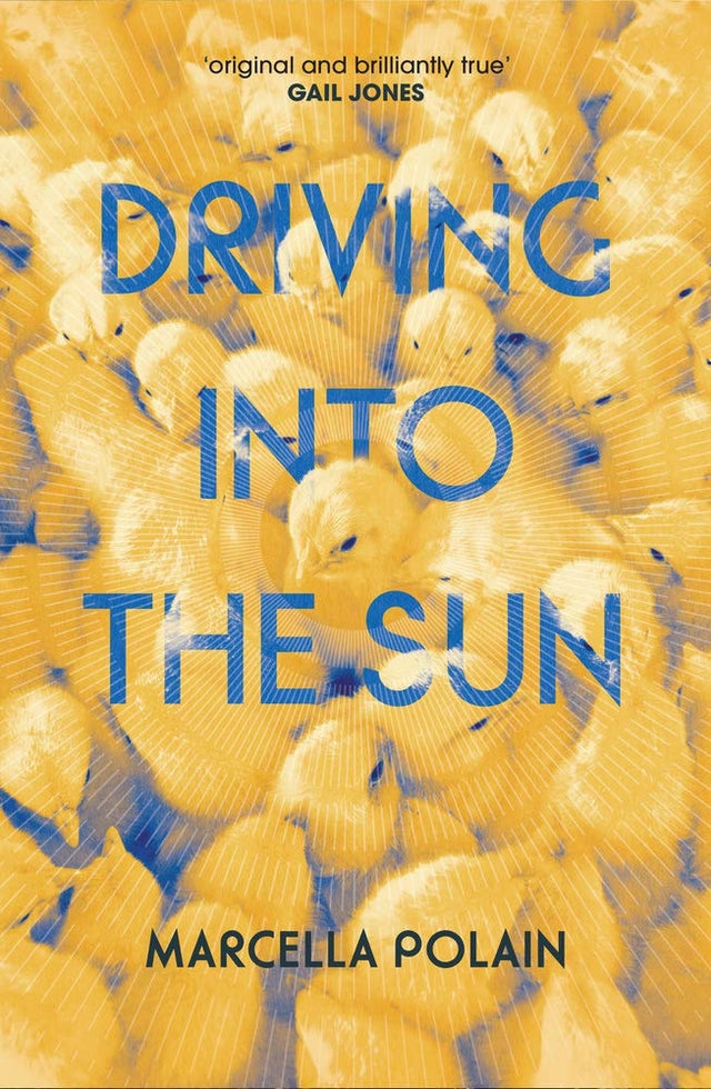 Driving into the Sun
