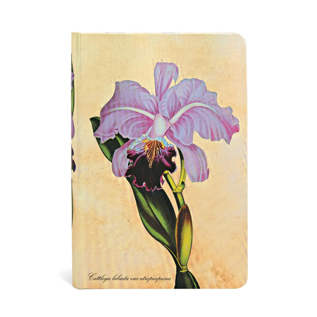 Brazilian Orchid Mini Lined Hardcover Journal