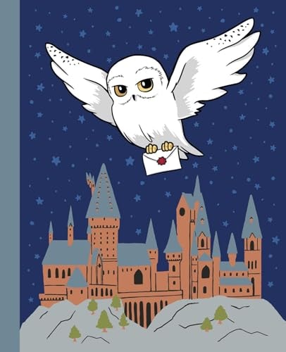 Harry Potter: Hedwig Squishy Lock & Key Diary