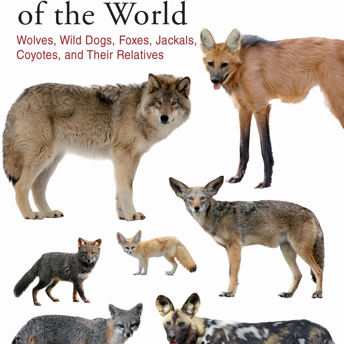 Jose R Castello Canids of the World by Dr. José R. Castelló – Book Hero