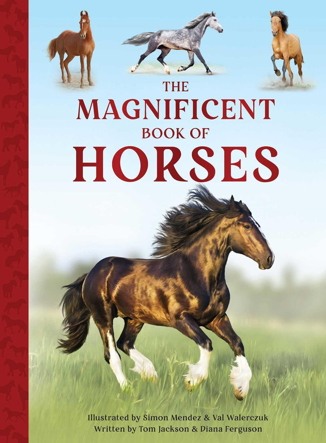 The Magnificent Book of Horses