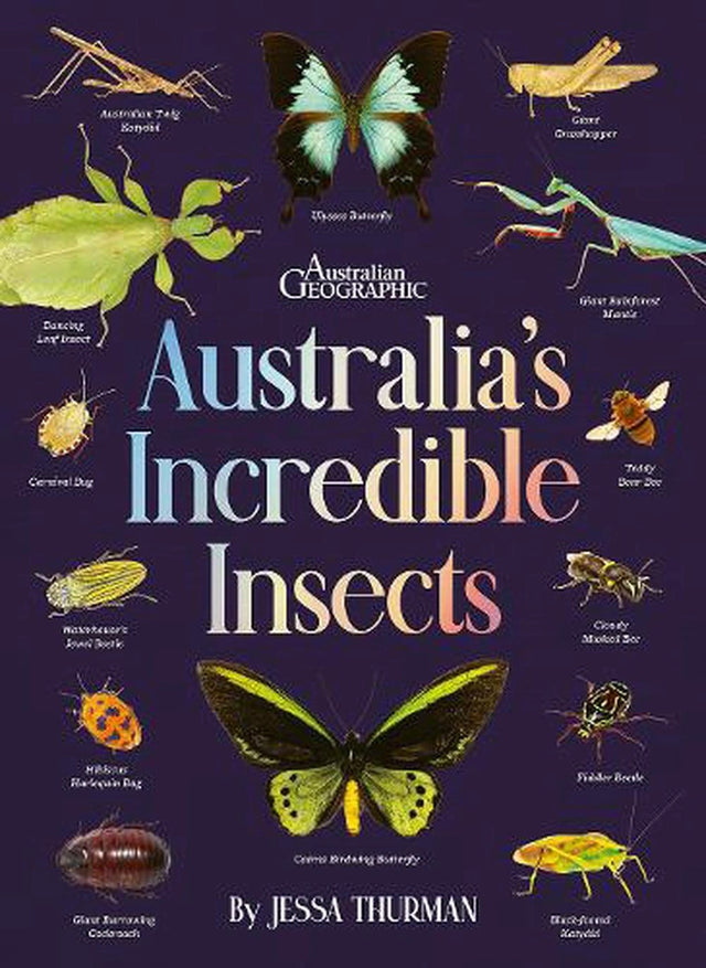 Australia’s Incredible Insects