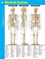 Skeletal System SparkCharts