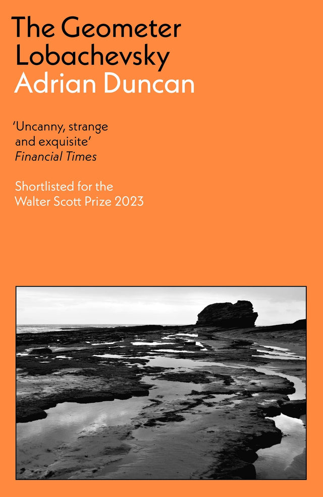 The Geometer Lobachevsky