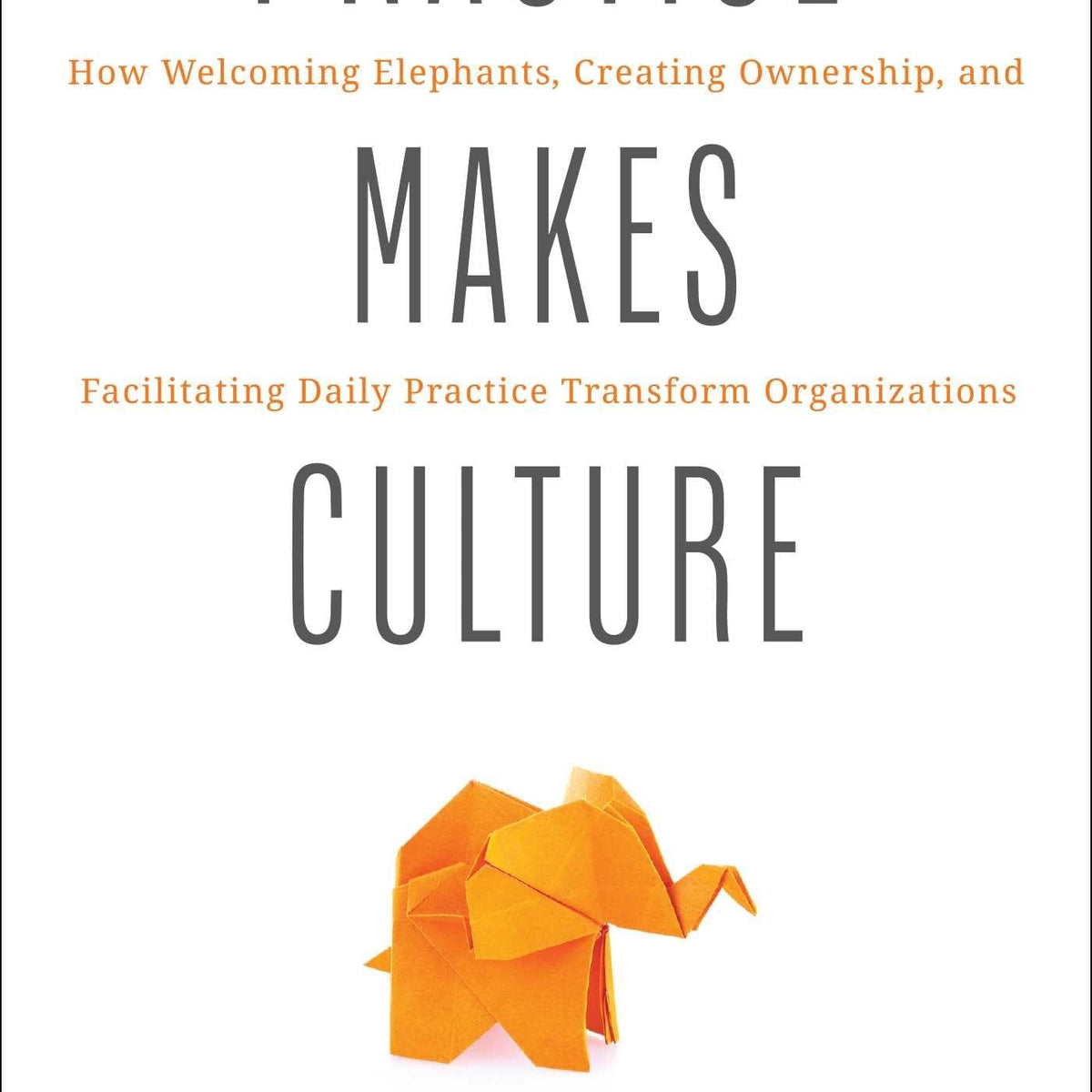 Practice Makes Culture by Ronica Roth and Christine Hudson – Book Hero