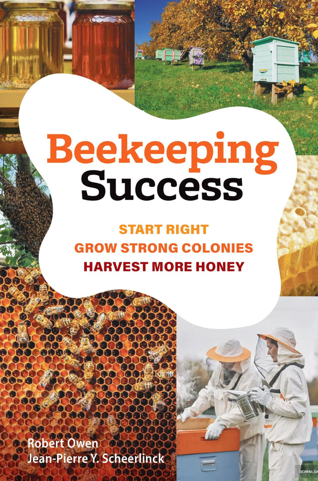 Beekeeping Success