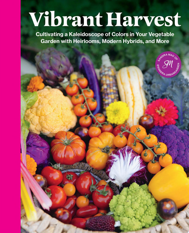Vibrant Harvest