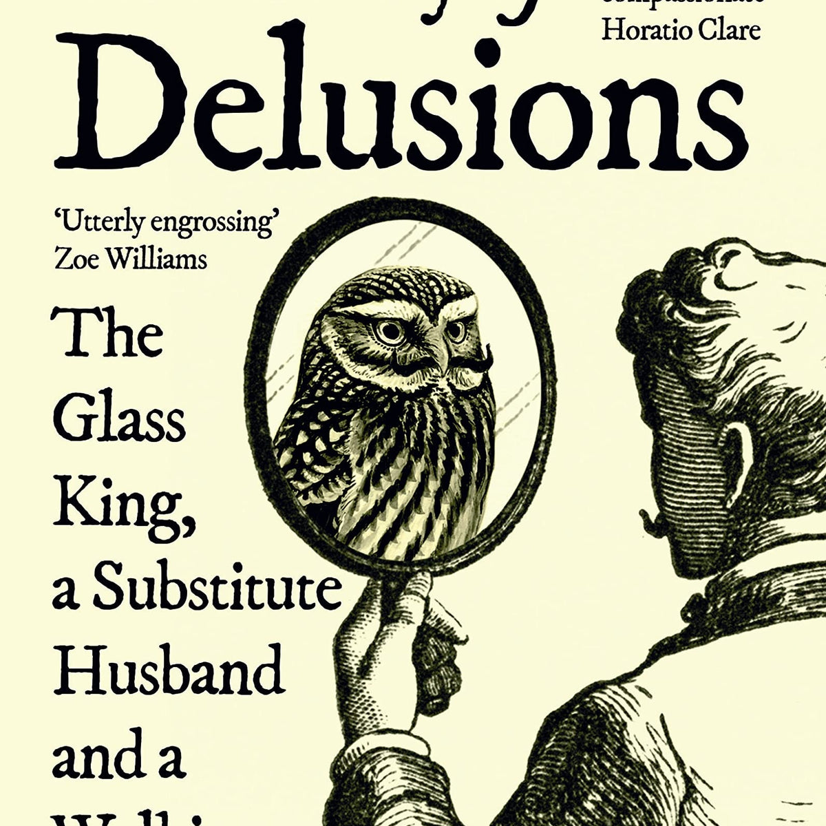 A History of Delusions by Victoria Shepherd – Book Hero