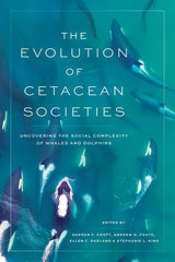 The Evolution of Cetacean Societies