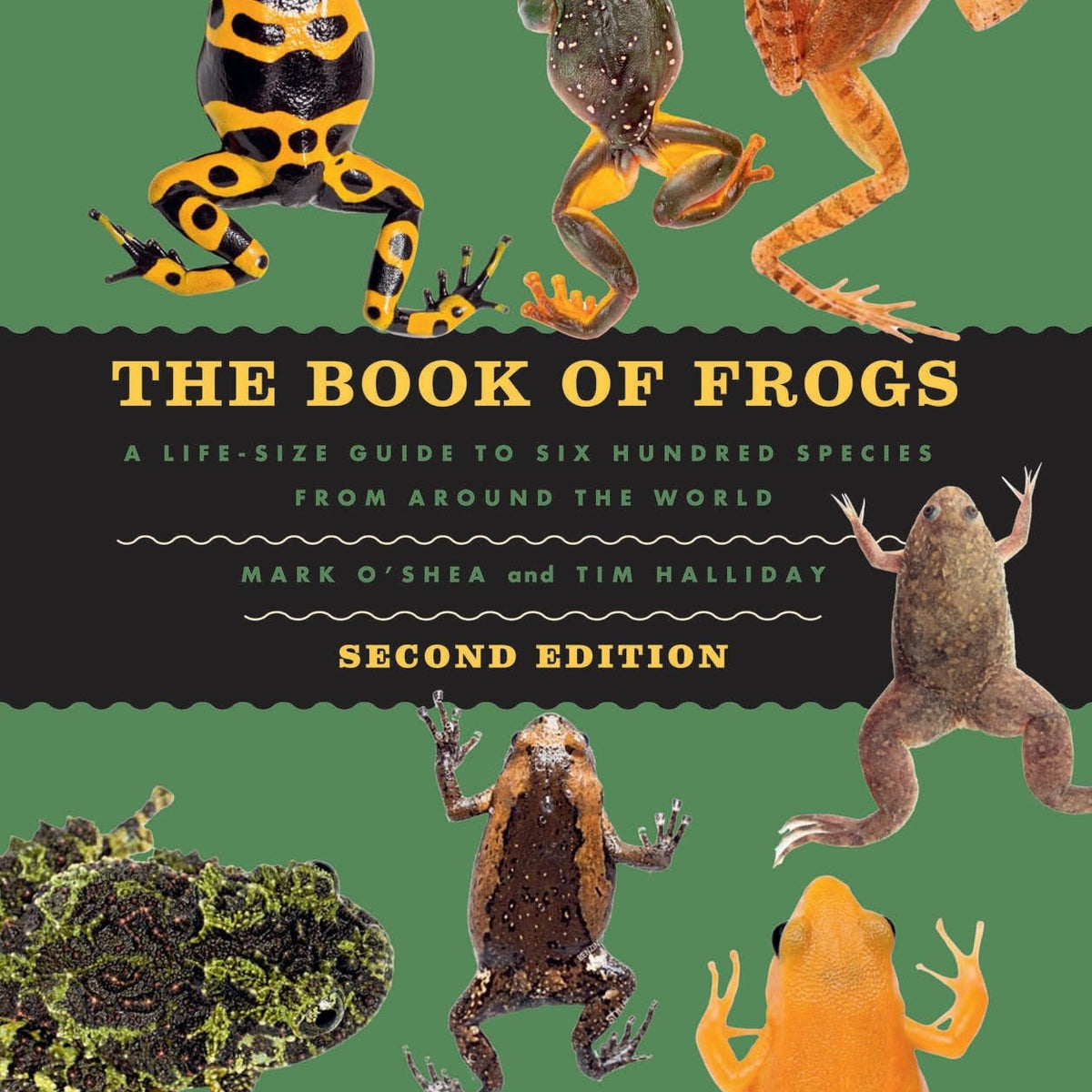 The Book of Frogs by Tim Halliday and Mark O'Shea – Book Hero