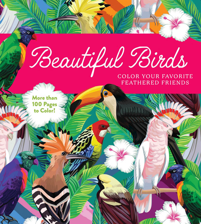 Beautiful Birds