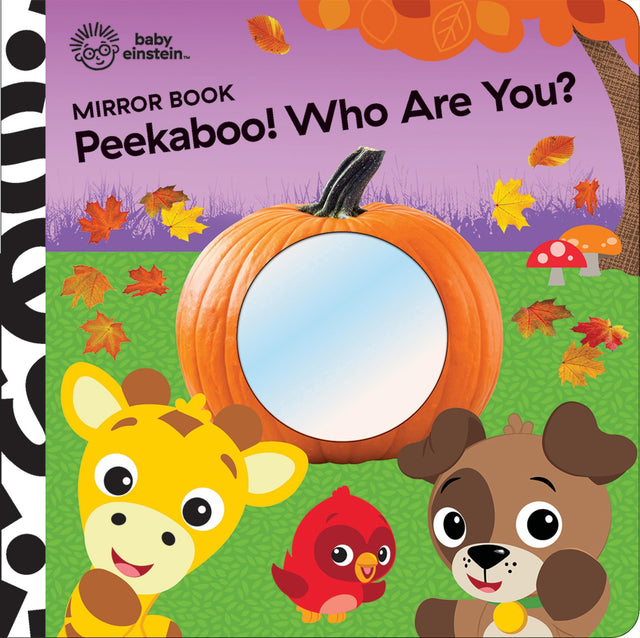 Baby Einstein Peekaboo Who Are You Mirror Book