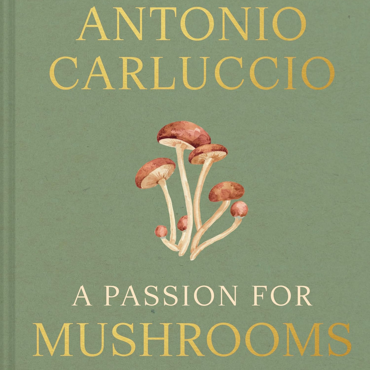 A Passion for Mushrooms by Antonio Carluccio – Book Hero