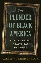 The Plunder of Black America