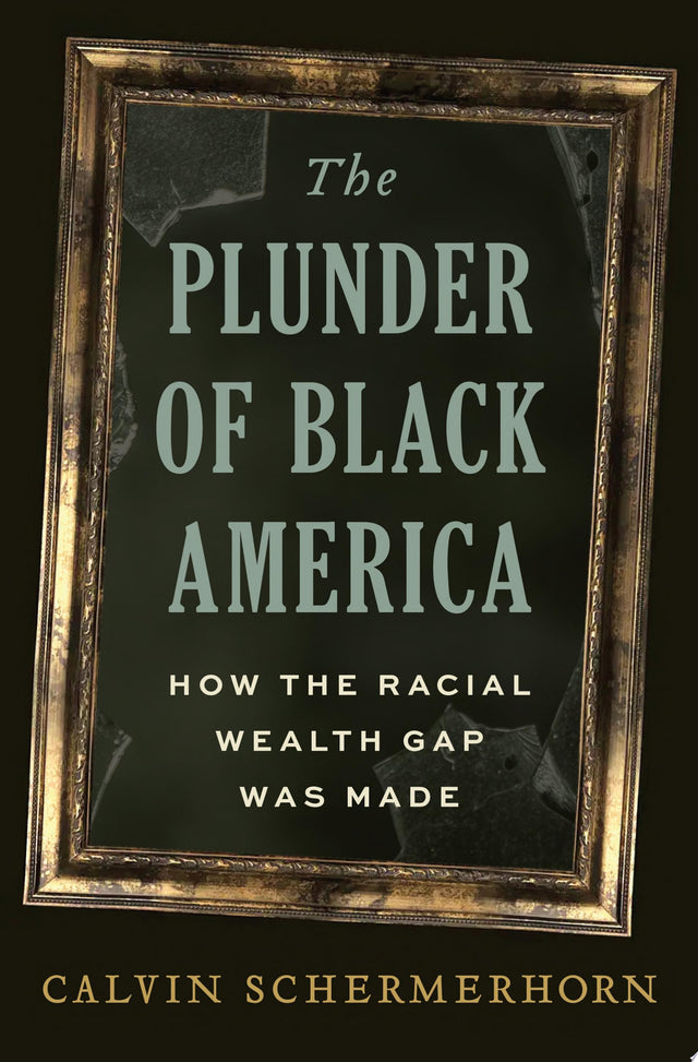 The Plunder of Black America