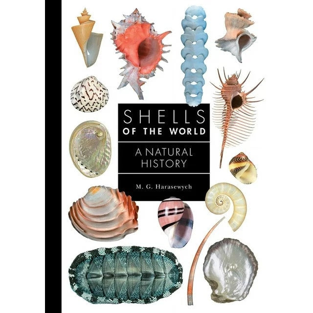 Shells of the World