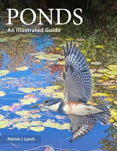 Ponds
