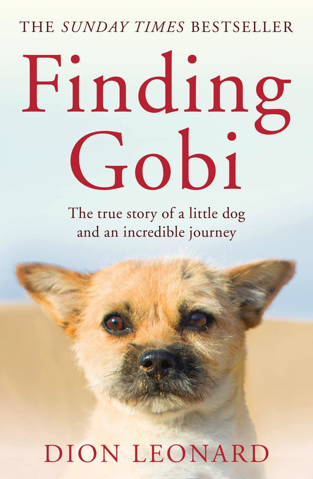 Finding Gobi (Main edition)