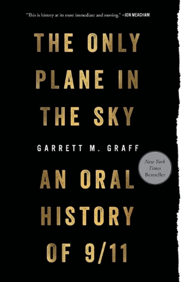 Only Plane in the Sky