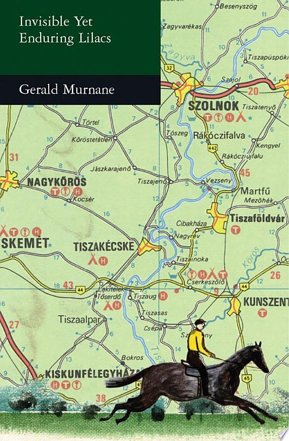 Invisible Yet Enduring Lilacs