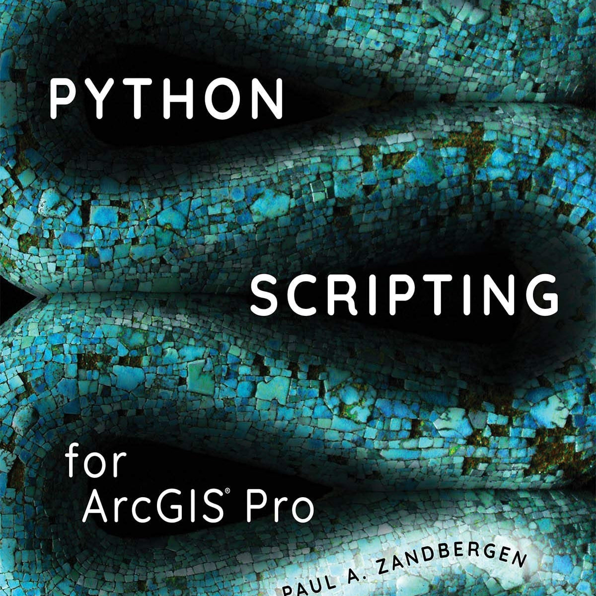 Python Scripting for ArcGIS Pro by Paul A. Zandbergen – Book Hero
