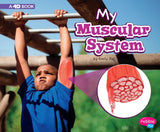 My Muscular System a 4D Book (My Body Systems)