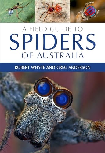 A Field Guide to Spiders of Australia