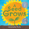 A seed grows