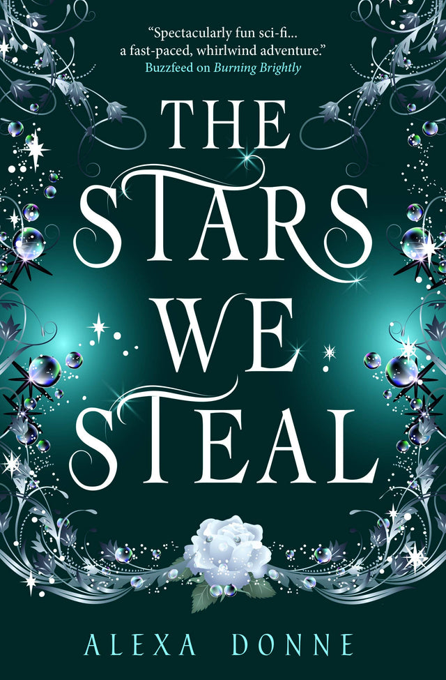The Stars We Steal