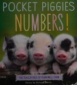 Pocket Piggies Numbers!