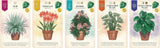 Verdant - Kickstarter Edition
