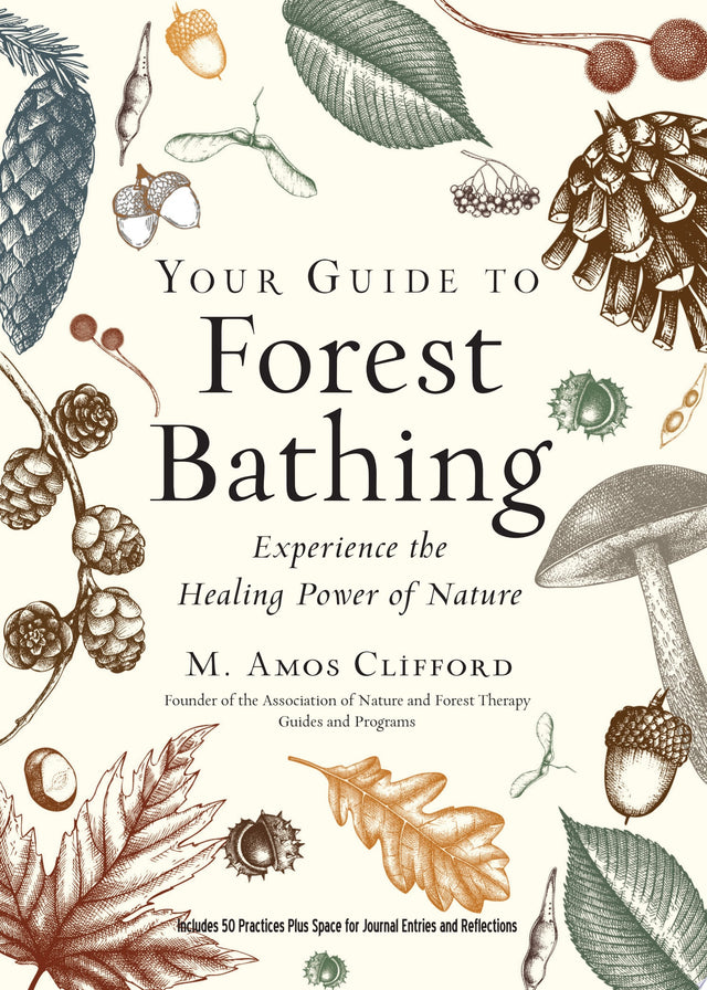 Your Guide to Forest Bathing (Expanded Edition)