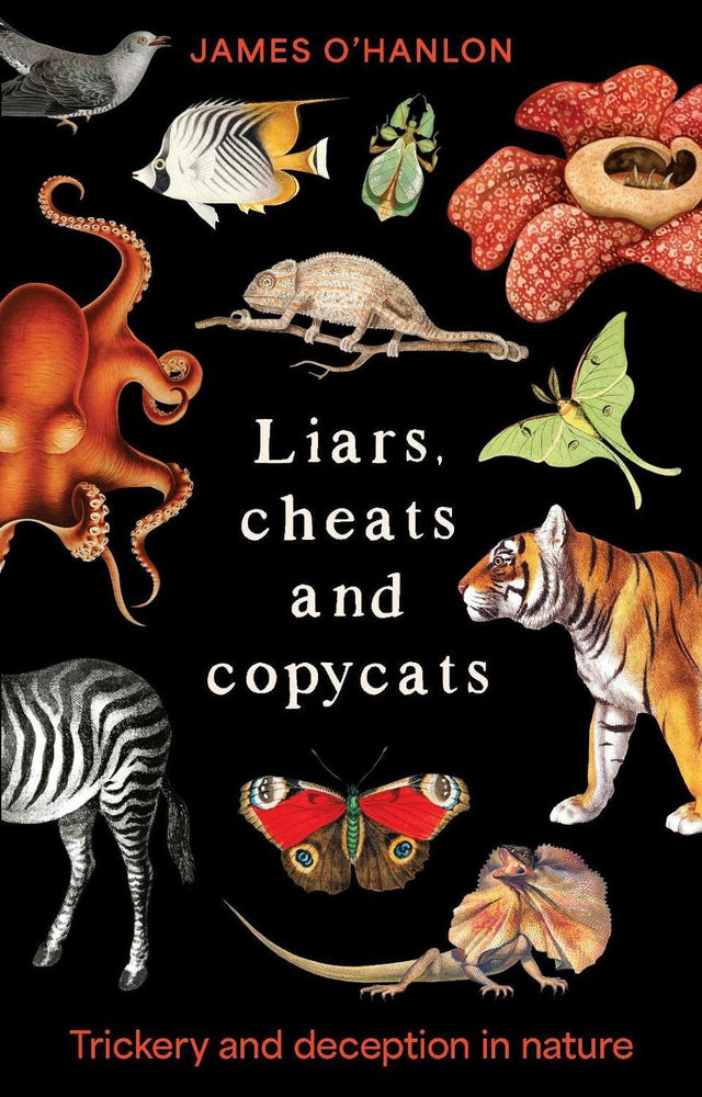 Liars, cheats and copycats