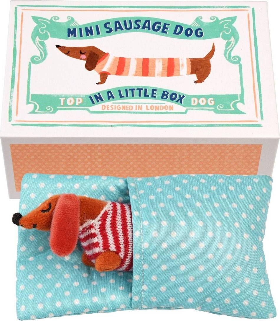 Mini Sausage Dog In A Little Box