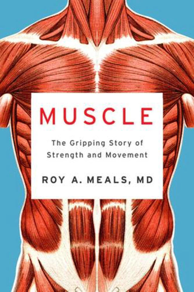 Muscle
