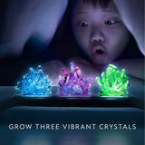 National Geographic Light Up Crystal Growing Kit
